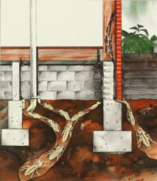 crawl_space_sm