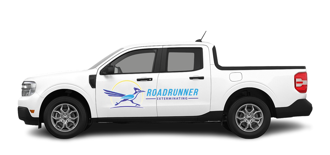 Road-Runner-Truck